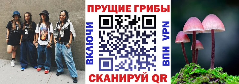 как найти закладки Болотное Галлюциногенные грибы Psilocybine cubensis